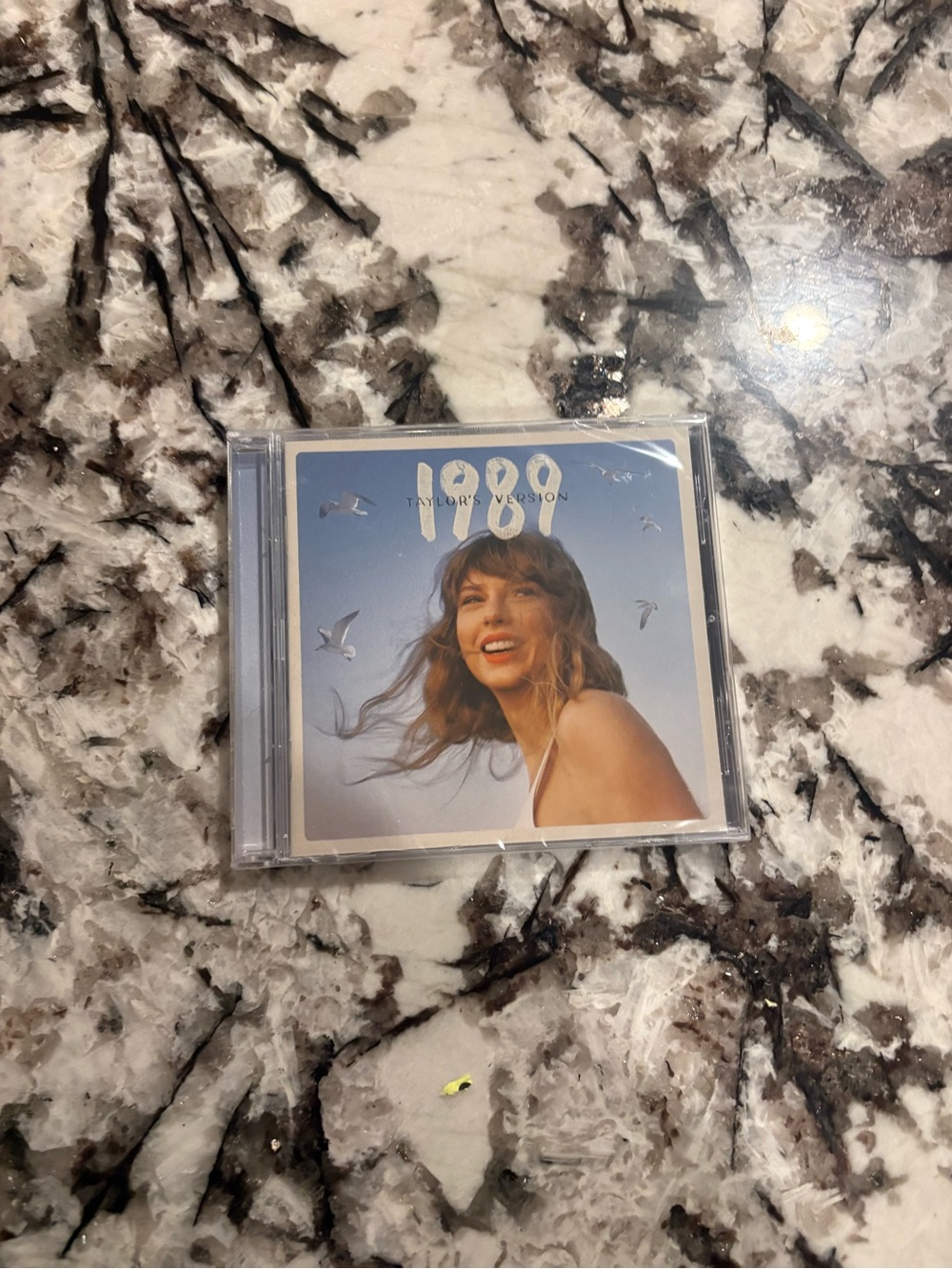 Taylor Swift Blue and White Album Cover Wall Art